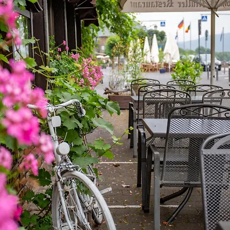 Mueller アルケン