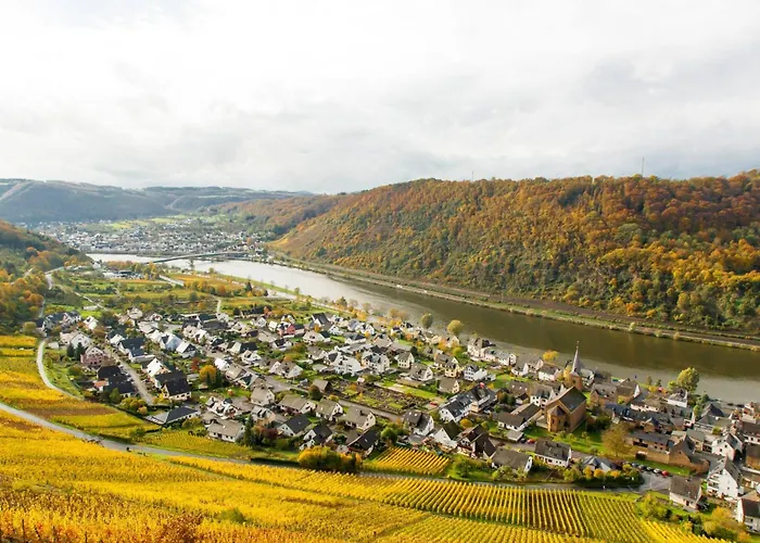 بيت ضيافة Mueller ألكين